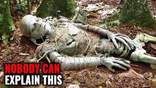 Sudden Discovery Of Ancient Aliens & Amazonian Mysteries