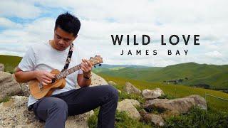 Wild Love - James Bay  Live Ukulele Cover
