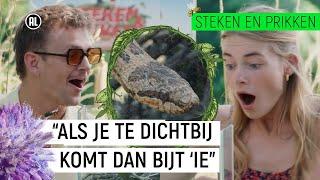 GEBETEN DOOR EEN SLANG  Steken en Prikken  S3 #9  NPO Zapp