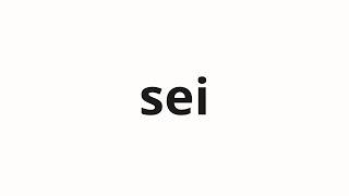 How to pronounce sei  正确 Positive in Japanese