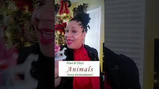 Tip 13 First Step for Filming Animals on the Set of your Christmas Movie #vlogmas