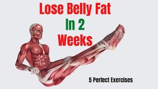Belly Fat Burning Exercises At Home - How To Lose Belly Fat In 2 Weeks Workout
