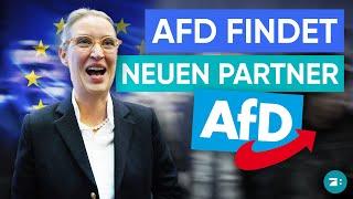 AfD tritt neuer rechtsextremer EU-Fraktion bei ESN-Bündnis gegründet