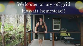 They said I couldnt build an off-grid home in Hawaii on a small budget #bigisland #offgrid #hawaii