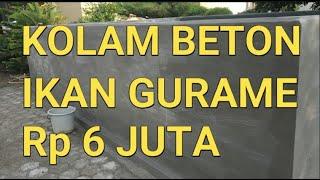 CARA BUDIDAYA IKAN GURAME DI KOLAM BETON  BIAYA PEMBUATAN KOLAM BETON