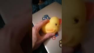 rubber ducky of truth