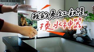 省錢省到心坎裡，無過濾的米蝦缸 NO Filter Shrimp Tank Glass Fridge Dispenser Aquarium