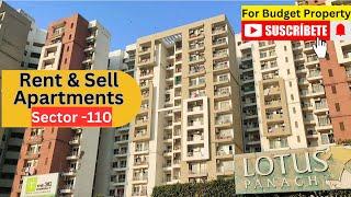 Apartment In Lotus Panache Sector 110 Noida  3c Lotus Panache  Flats For Rent  flats For Sell 