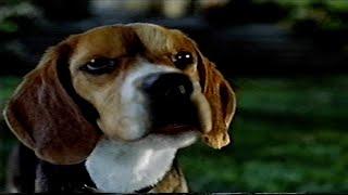 Cats & Dogs Lou Confronts Butch 2001 VHS Capture