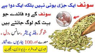 Benefits Of Fennel Seeds  Saunf ke Fawaid  Saunf Benefits  Islam Advisor