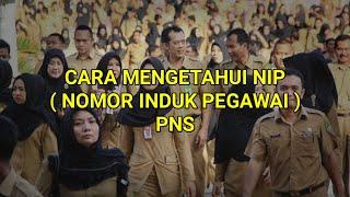 Cara Cek NIP CPNS 2019  CPNS 2021