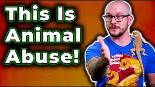 Animal abuse is Disgusting How Does This Even Happen?  My Response to Slithers