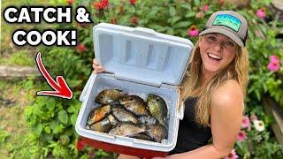 We Found a HUGE Bream Bed GIANT Bluegill SMACKDOWN CATCH & COOK SPICY Fish