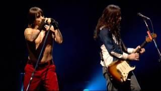 Red Hot Chili Peppers - Dont Forget Me Live At Slane Castle