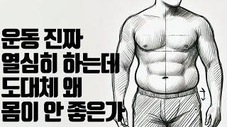 나는 헬창이다. 근데 몸이 별로 안 좋다... 24년도 논문 + 5개 비교분석