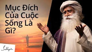 Mục Đích Của Cuộc Sống Là Gì?  Sadhguru Tiếng Việt