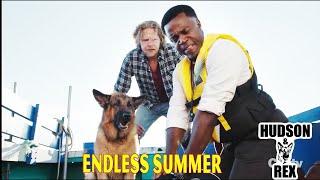 Hudson and Rex New 2024  Endless Summer   Best American Police Procedural Drama Series 2024