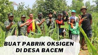 Perhutani KPH Blitar Menanam Bersama Ciptakan Pabrik Oksigen di Desa Bacem Sutojayan