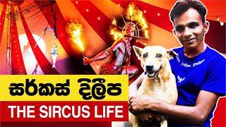 සර්කස් දිලීප  The Circus Life  Circus Sri Lanka  Dileepa Circus  Machang Ceylonians