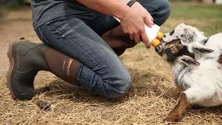 Waterproof Rubber Boots for ANY occasion