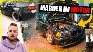 MARDER Attacke auf den TURBO Bmw  KLEINER Fehler große WIRKUNG  Bilder vom UNFALL  335