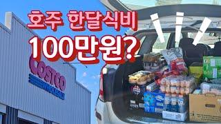 호주 멜버른 Costco 코스트코에서 쇼핑하기 호주물가 생활비중 식비는 한달 100만원?