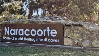 Naracoorte SOUTH AUSTRALIA