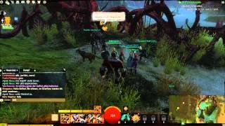 Guild Wars 2 - Lets Play Teil 3 Unterwasserkampf