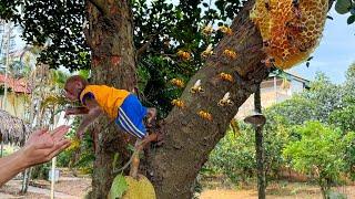 Bibi explores the beehive and runs in panicked to find Dad when the bees chase