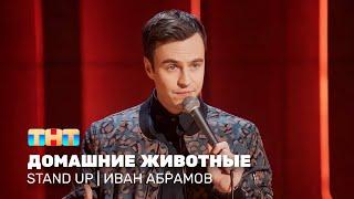 Stand Up Иван Абрамов - домашние животные @standup_tnt