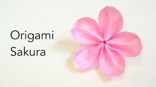 Easy Origami Sakura Tutorial