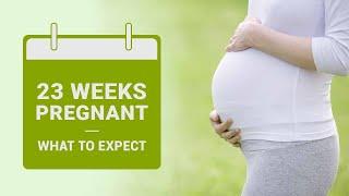 23 Weeks Pregnant - Symptoms Baby Growth Dos & Donts