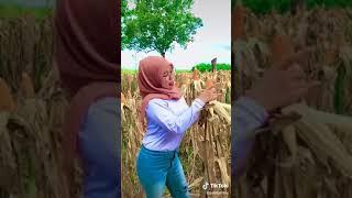 tiktok jilbab gunung gede sange hot  tiktok dance 2021 #shorts