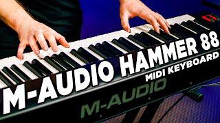 M-Audio Hammer 88 Review  BEST Budget MIDI Keyboard under $500?