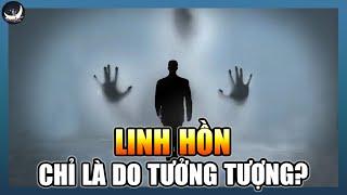 Nhà Khoa Học Trở Về Từ Thế Giới Bên Kia Đính Chính Lại Sự Tồn Tại Của Linh Hồn  Vũ Trụ Nguyên Thủy