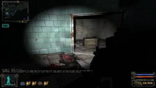 S.T.A.L.K.E.R. Shadow of Chernobyl Lab X-18 Part 12 HD