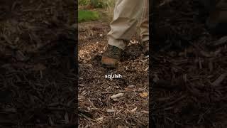 Signs of Moles in Yard