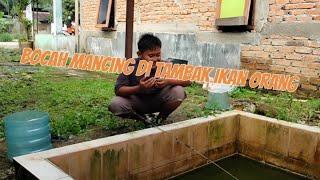 Mancing perkara