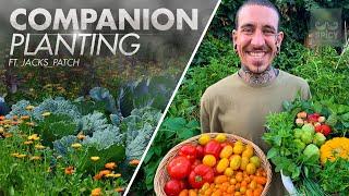 All about Companion Planting for a small Space