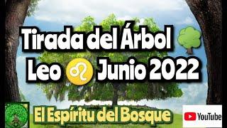 Tirada del árbol LEO JUNIO 2022