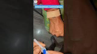 IV cannula kaise lagaye  #reels #ytbshorts #viral #ytbviral #ytshorts #medical #neetaspirant #reel