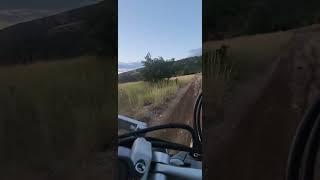 Old Ward Canyon hill climb on the Ducati Scrambler Desert Sled.