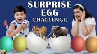 SURPRISE EGG CHALLENGE  Mystery Pot Challenge  Fun Game CDM in Lickables  Aayu and Pihu Show