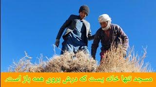 آشار مردمی جوانای قریه برای کندن وجمع کردن خاشه از کوه برای گرم کردن ‌مسجد درفصل زمستان