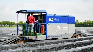 AVL motion robot harvesting selectively asparagus