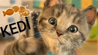 KEDİ çizgi film