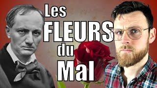 Les FLEURS du MAL  Introduction à la poésie de Baudelaire