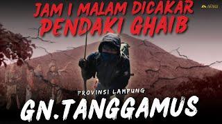 JAM 1 MALAM DICAKAR PENDAKI GHAIB Kisah Mistis Pendaki Gagal Muncak di Gunung Tanggamus Lampung