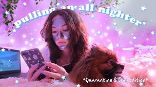 Не сплю всю ночь  pulling an all nighter *quarantine edition* chill version