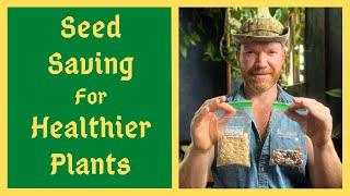 Seed Saving For Better Plants - From Beginner To Expert - Everything You Need To Know